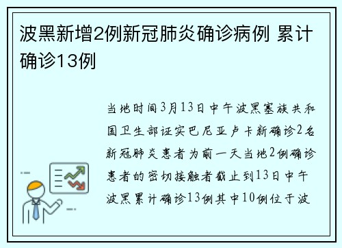 波黑新增2例新冠肺炎确诊病例 累计确诊13例