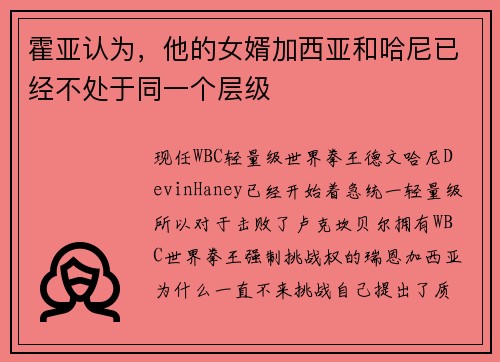 霍亚认为，他的女婿加西亚和哈尼已经不处于同一个层级